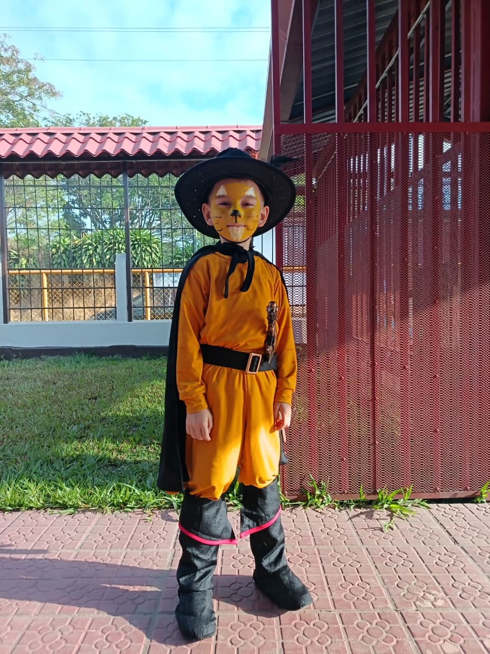 Traje Niño Gato Con Botas